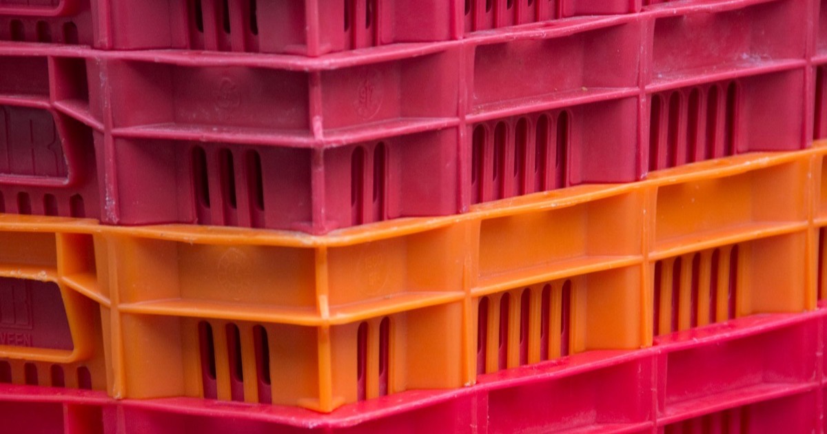 Cold storage management software