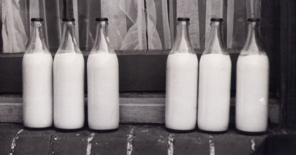 Dairy software pricing breakdown